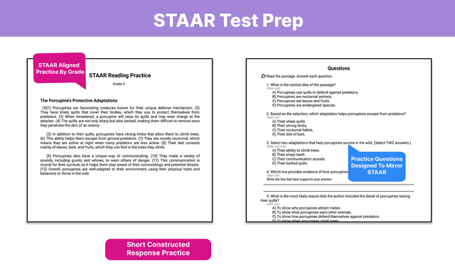 WorksheetzAi STAAR reading sample